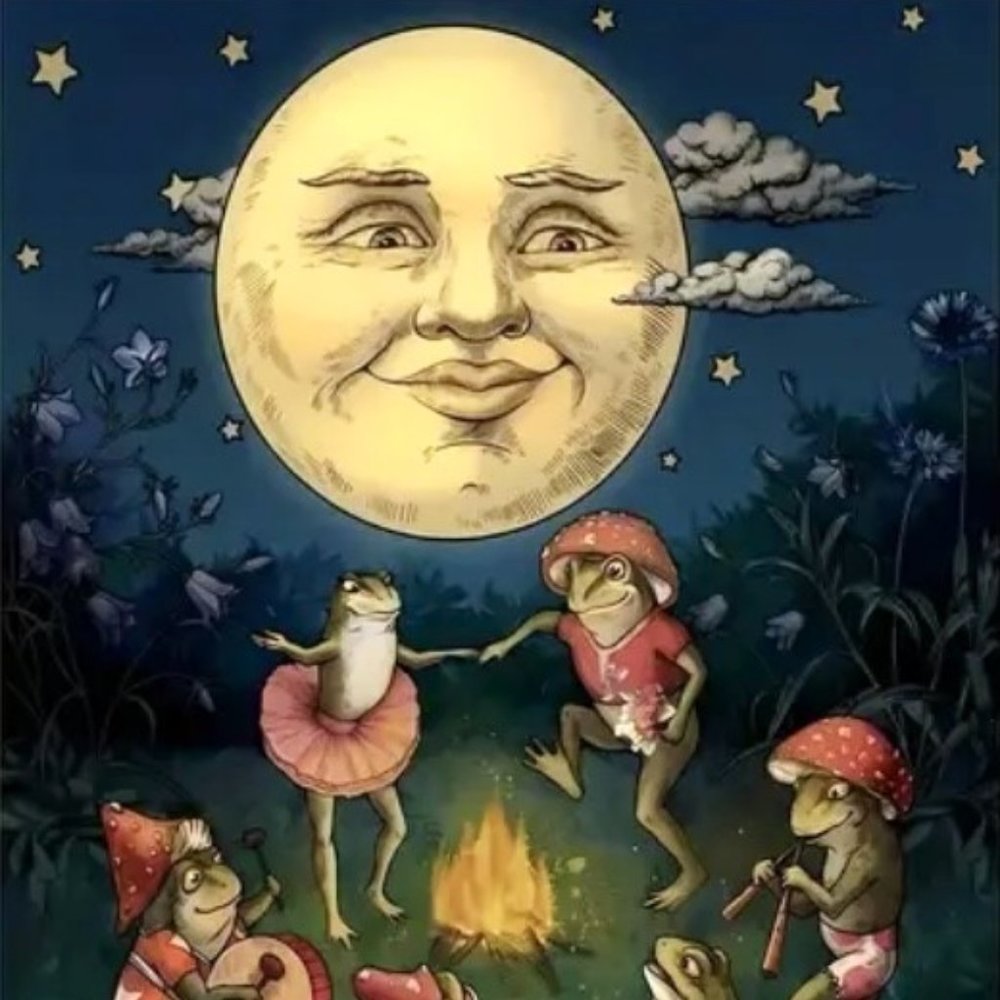 Whimsical Anthropomorphic Moon Dancing Musician Frogs Around Fire Canvas Print